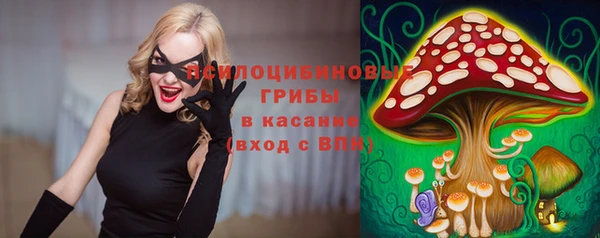 меф Переславль-Залесский