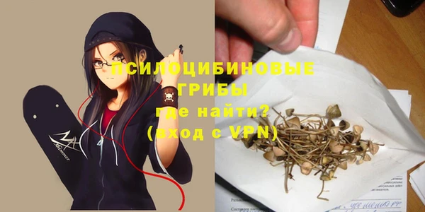 крисы Пестово