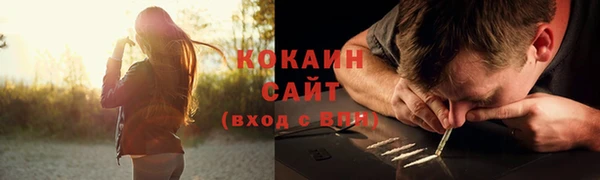 молекула духа Покровск