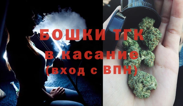 ГАЛЛЮЦИНОГЕННЫЕ ГРИБЫ Покров