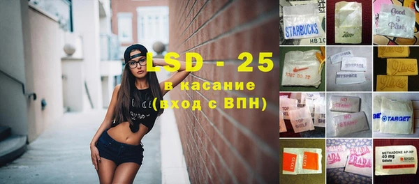 ГАЛЛЮЦИНОГЕННЫЕ ГРИБЫ Покров