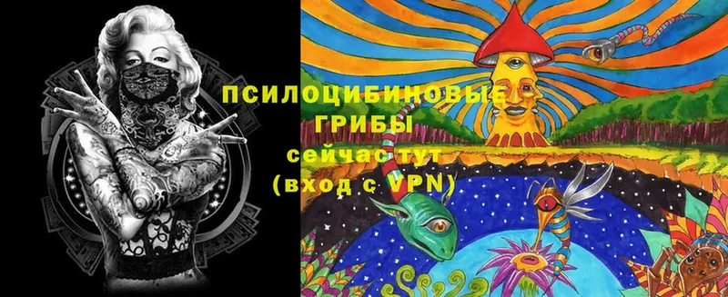 Галлюциногенные грибы Cubensis  Собинка 