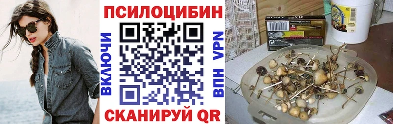 где купить наркотик  Собинка  Галлюциногенные грибы прущие грибы 
